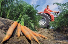 Megjelent a 2012. Fiatal Gazda rendelet