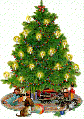 Karácsonyfa választás