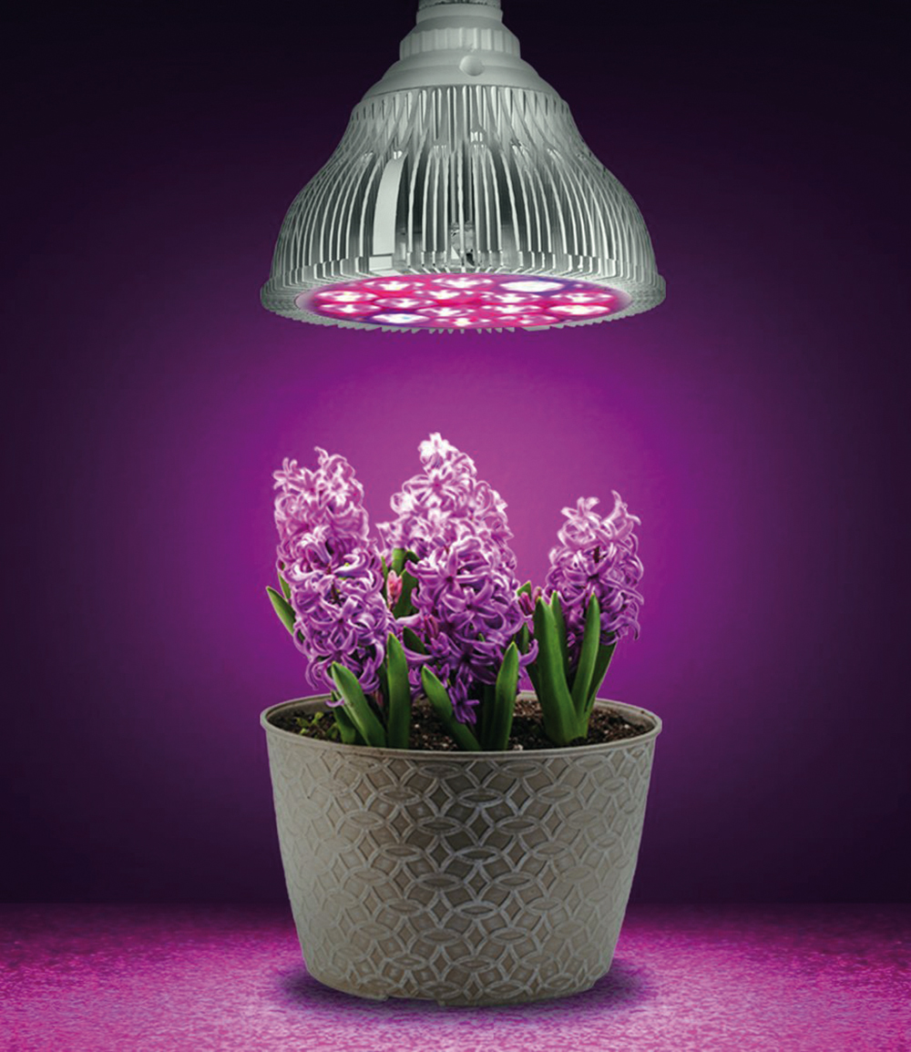 Лучшая подсветка для цветов. Фитолампа grow Light 40 Вт. Для растений Ecola фитолампа. Фитолампа фиолетовая.