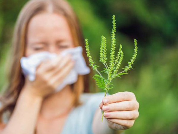 Allergia ellen klímával, légtisztítóval