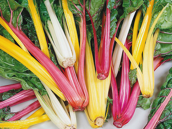 Sokoldalú mángold: több figyelmet érdemelne