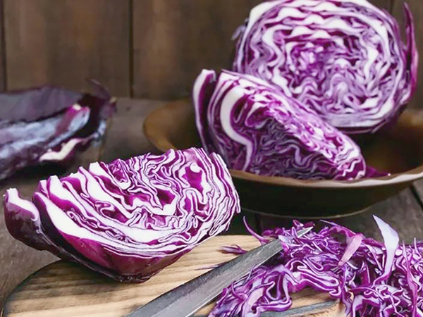 Vörös káposzta: a növényvilág kaméleonja