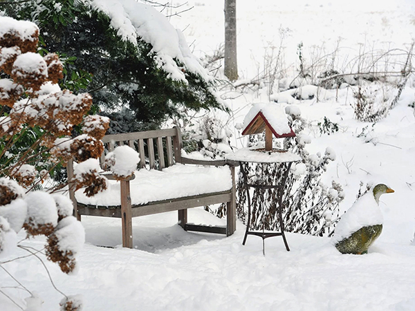 Hogyan készüljünk fel a fagyokra egy kiskertben? 