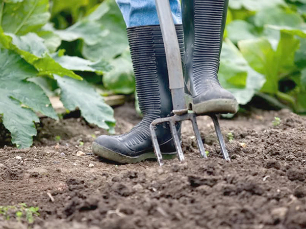 Zöldtrágyázás: nem csak a szántóföldeken hasznos