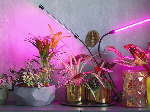 Növények pótmegvilágítása