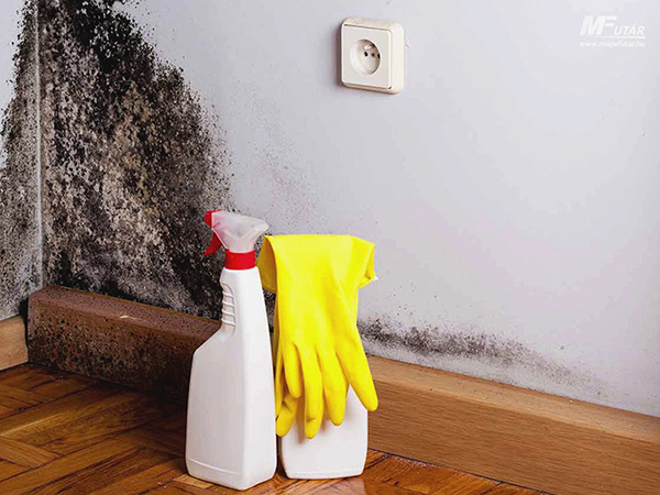 A penészes fal oka és kezelése A penészes fal oka és kezelése