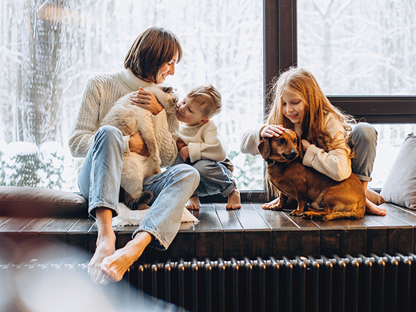 Miért kulcsfontosságú a keringető szivattyúk cseréje a fűtéskorszerűsítésnél? Miért kulcsfontosságú a keringető szivattyúk cseréje a fűtéskorszerűsítésnél?