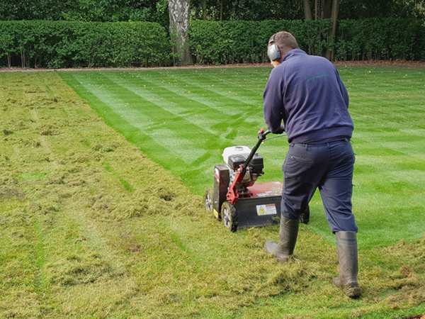 Hasznos tippek a tavaszi gyepápoláshoz