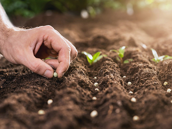 Egyszer csak eljön a vetés ideje