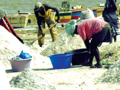 Fűszersók házilag