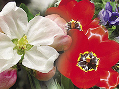 Villára tűzött virágok